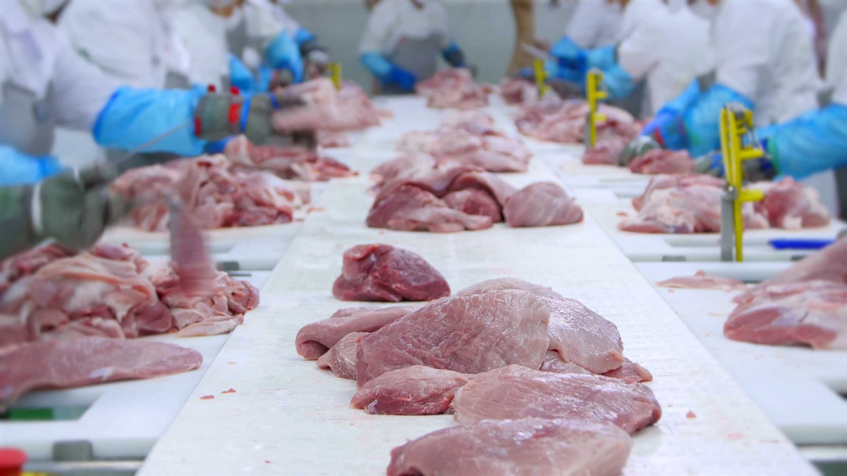ÉCRAN TACTIQUE DE TRAITEMENT DES DENRÉES ALIMENTAIRES viande sur une table avec des personnes en arrière-plan